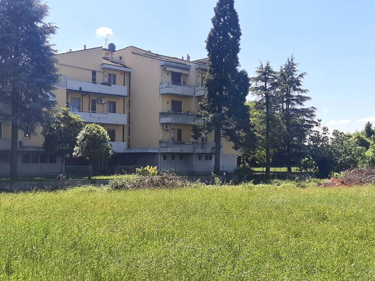 immagine annuncio 4 di 7
