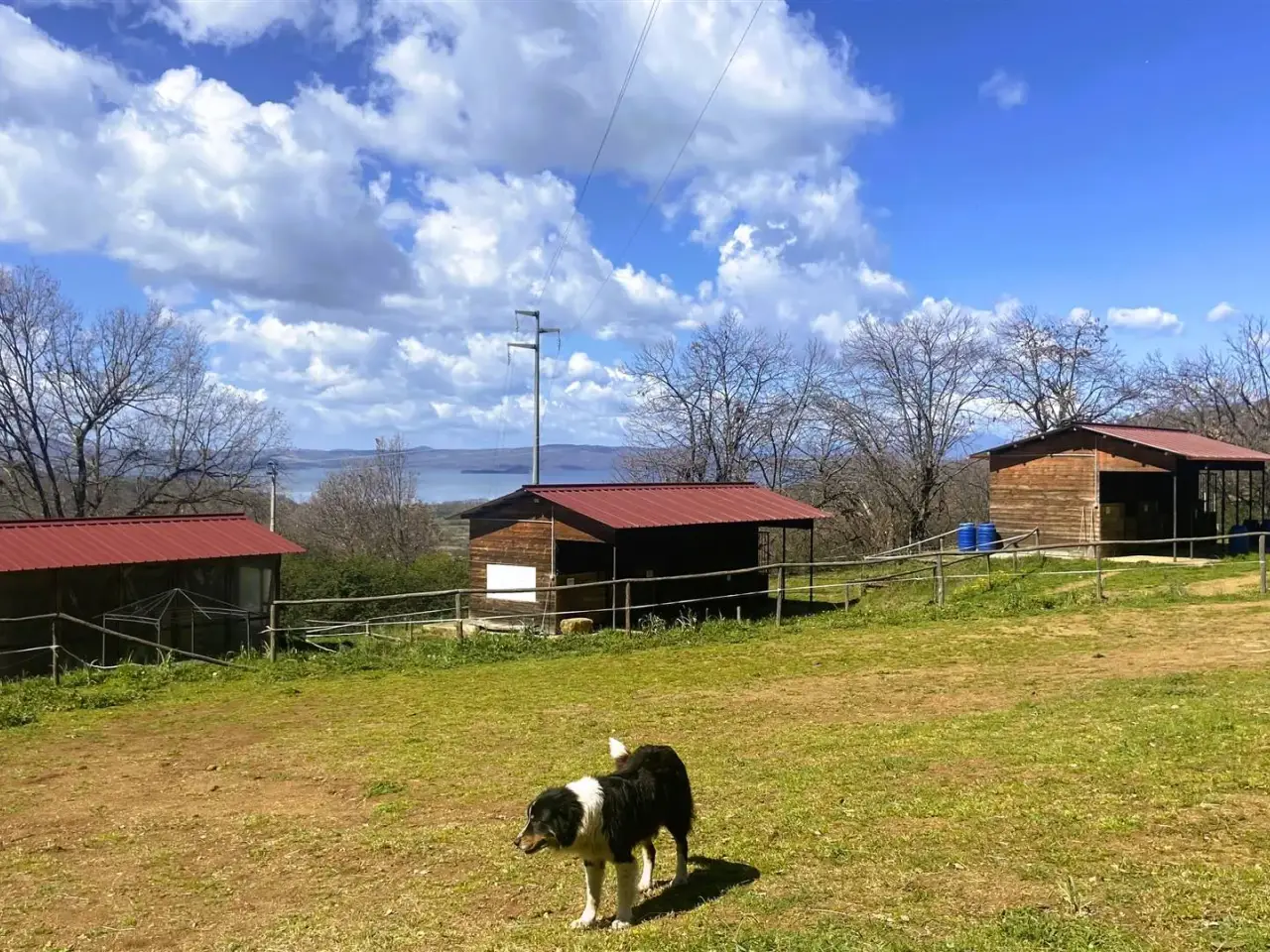 Agriturismo in Via del Lago Montefiascone, Montefiascone, {3} - Foto 1