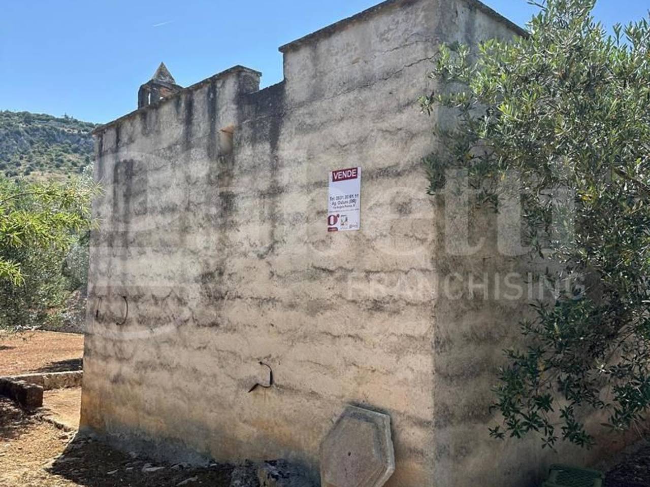 immagine annuncio 3 di 12