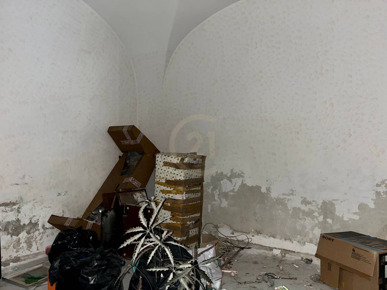 immagine annuncio 1 di 13