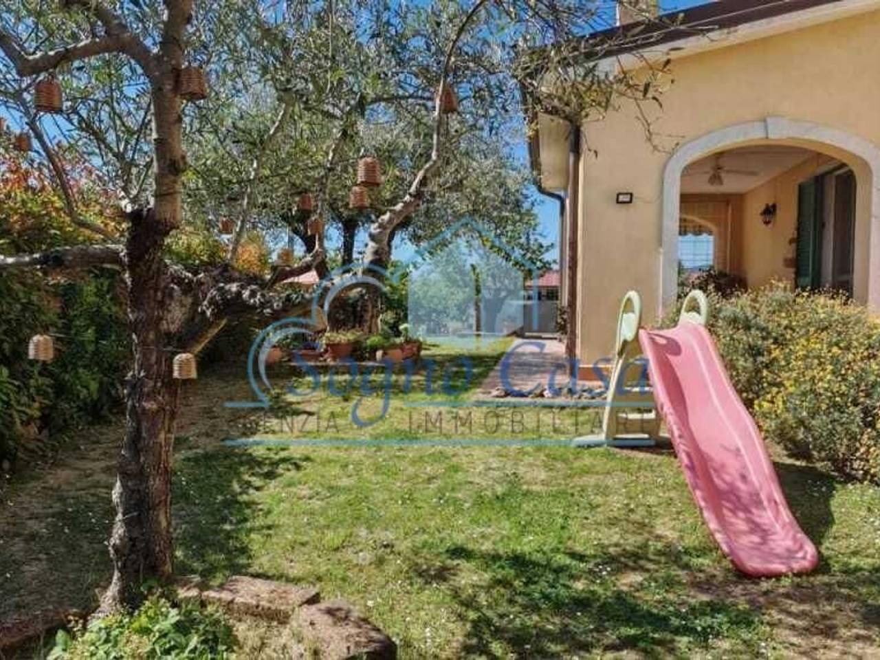 immagine annuncio 12 di 15