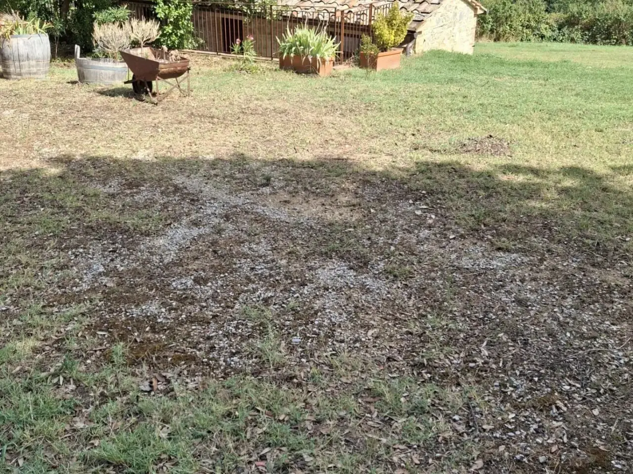Azienda agricola in , San Quirico D'Orcia, {3} - Foto 1