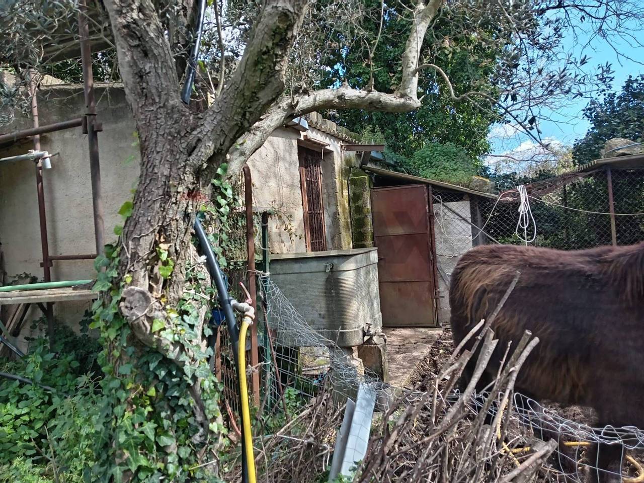 immagine annuncio 9 di 13