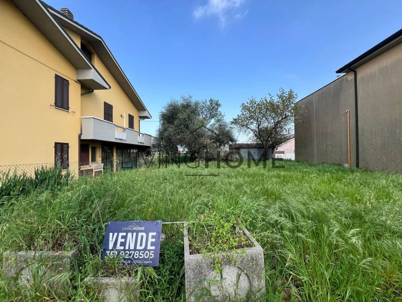 immagine annuncio 6 di 7