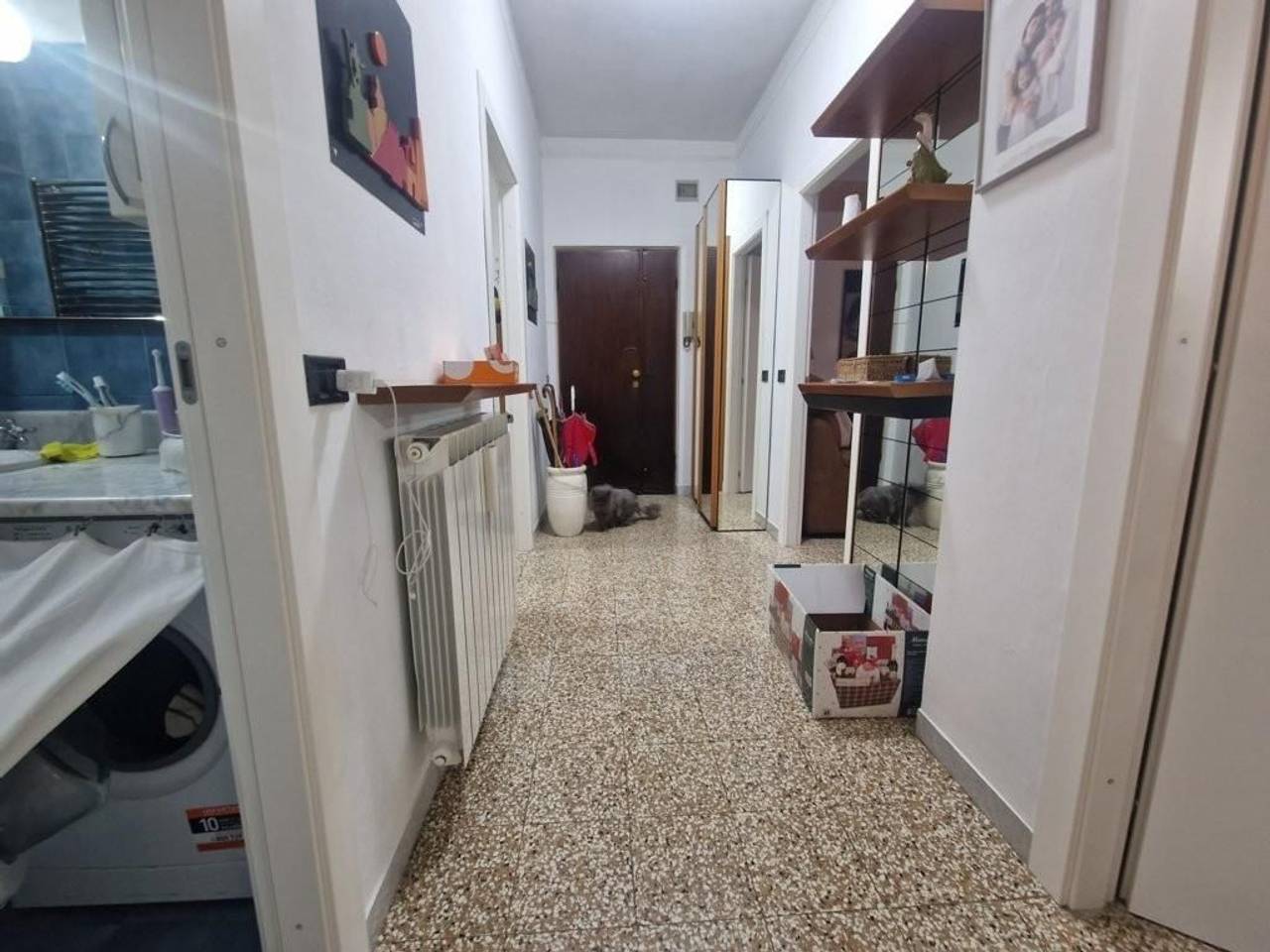 immagine annuncio 10 di 13