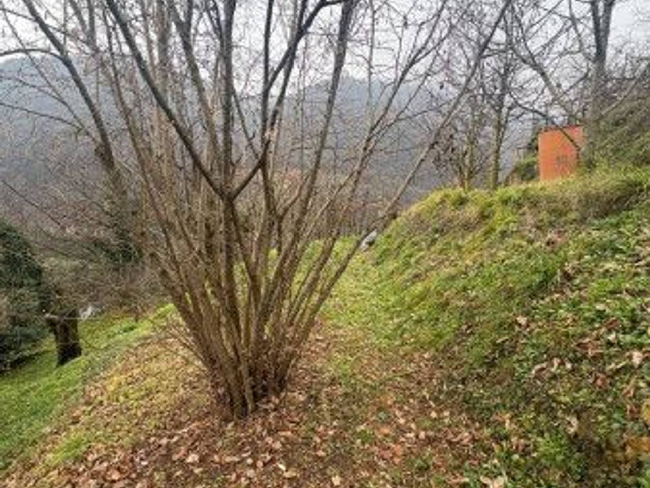 immagine annuncio 4 di 8