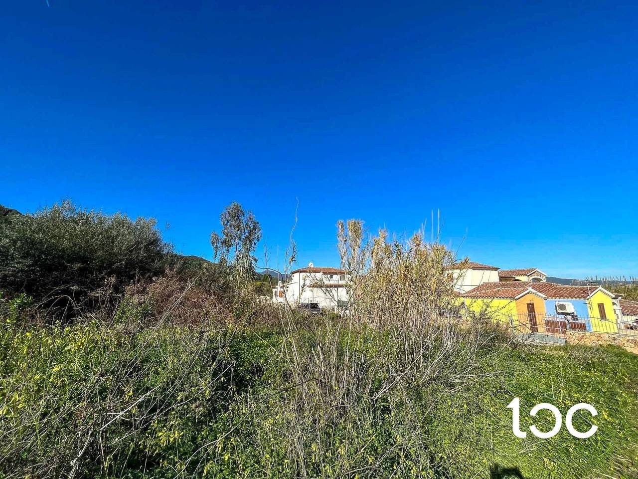 immagine annuncio 1 di 4