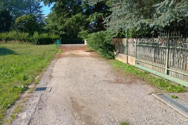 insertion image
