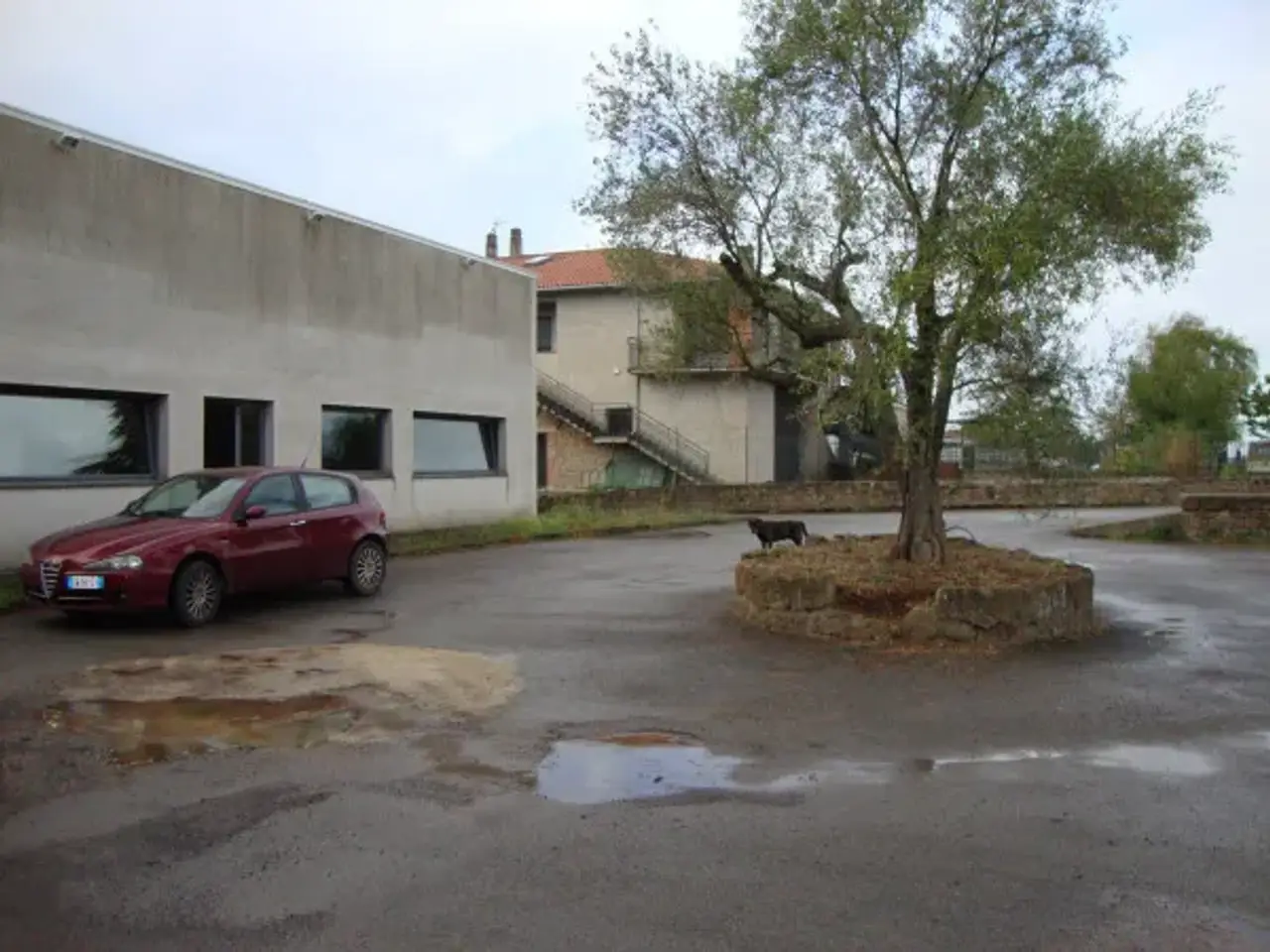 Negozio in Strada Regionale Maremmana, Pitigliano, {3} - Foto 2