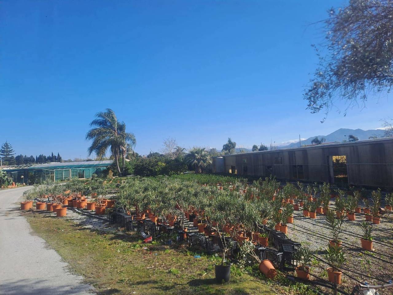 immagine annuncio 5 di 7