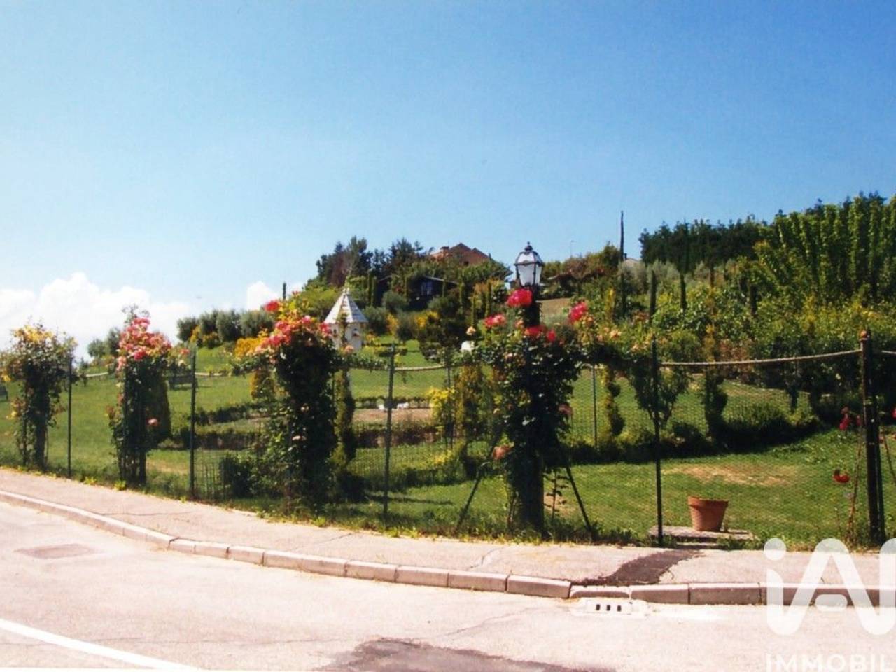 immagine annuncio 5 di 6