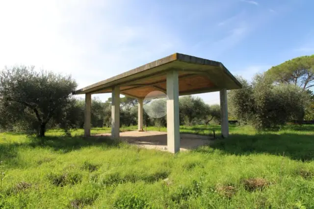 Terreno agricolo in Via dei Pini 8, Montelibretti - Foto 1