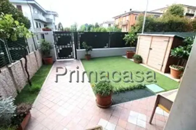 insertion image