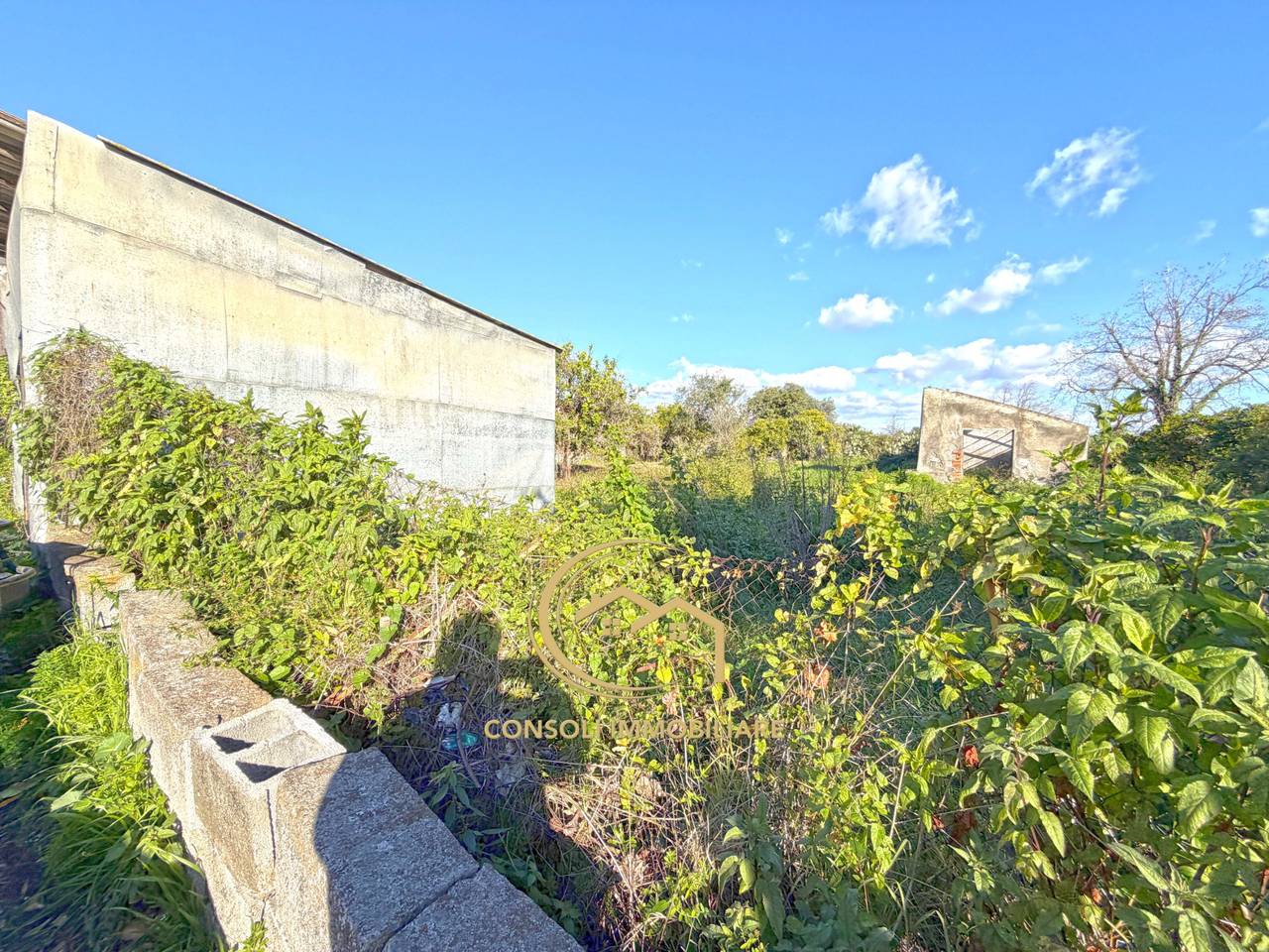 immagine annuncio 2 di 7