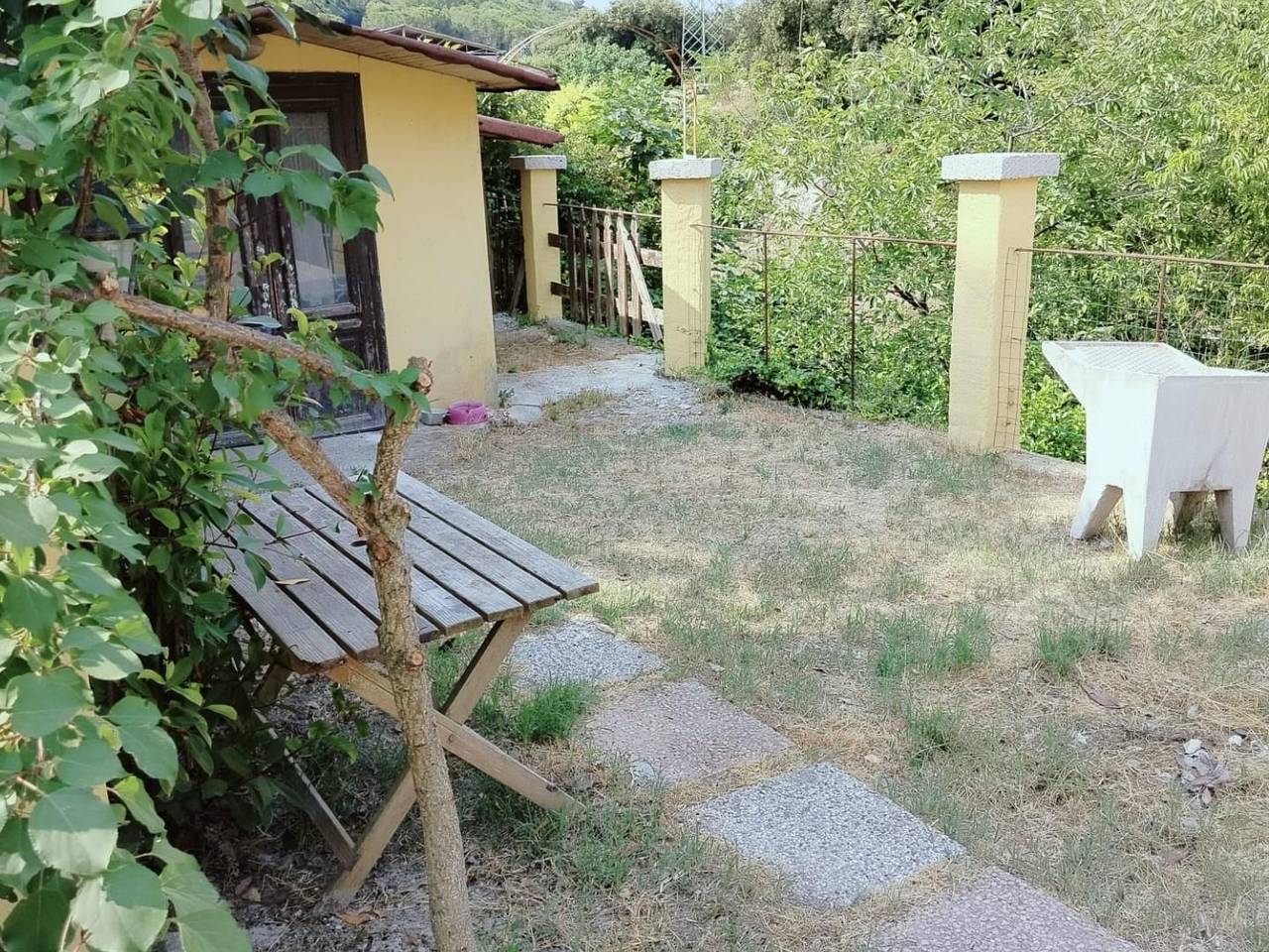 immagine annuncio 1 di 14