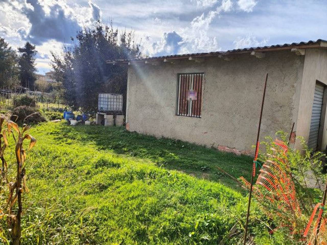 immagine annuncio 3 di 8