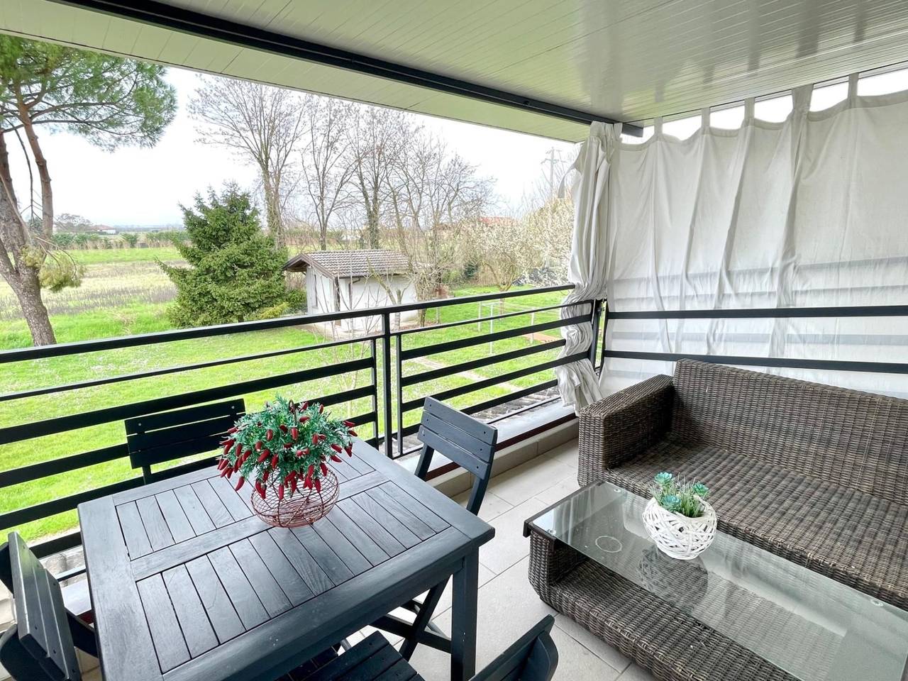 immagine annuncio 9 di 15