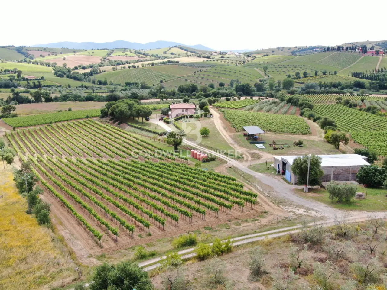 Azienda agricola in Grosseto 10, Grosseto, {3} - Foto 2