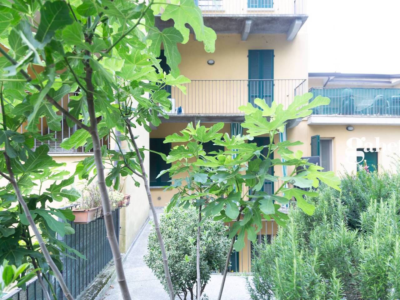 immagine annuncio 2 di 14