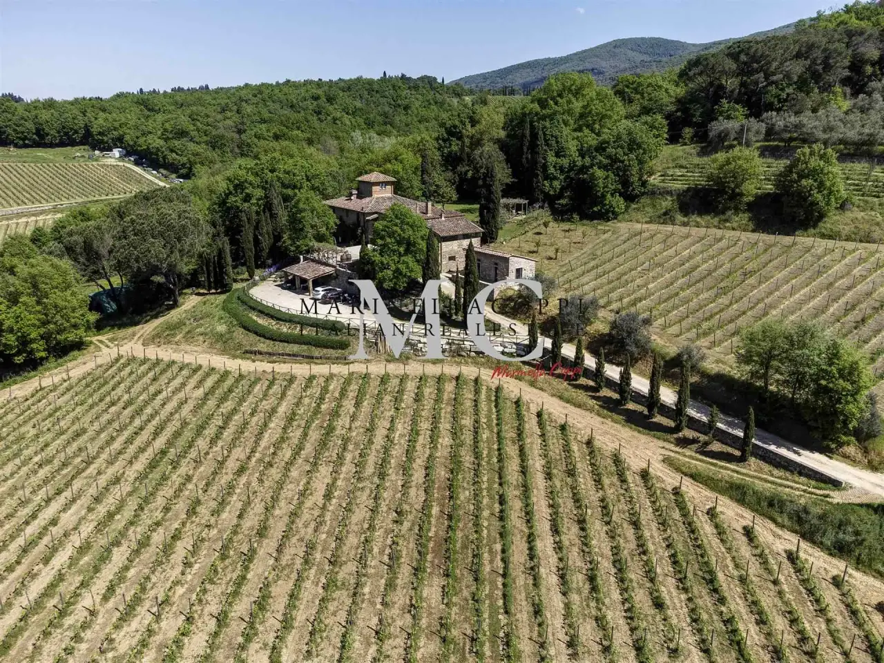 Azienda agricola in , Greve In Chianti, {3} - Foto 1