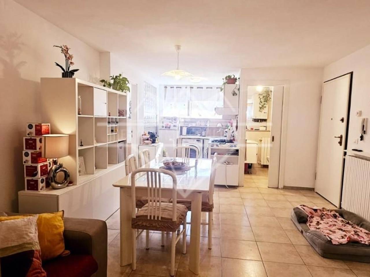 immagine annuncio 3 di 13