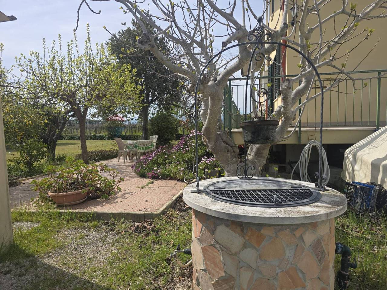 immagine annuncio 10 di 15