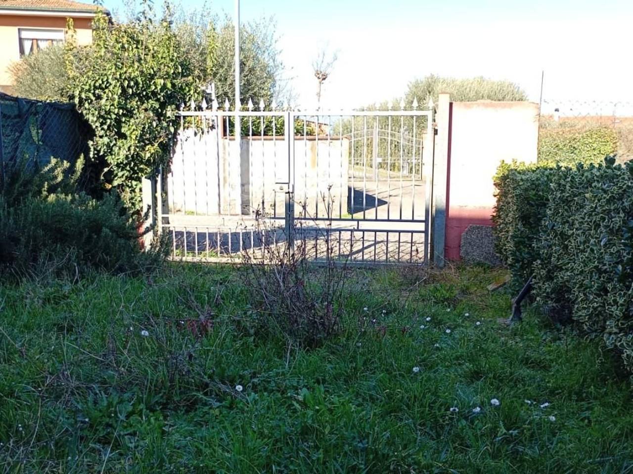 immagine annuncio 13 di 14