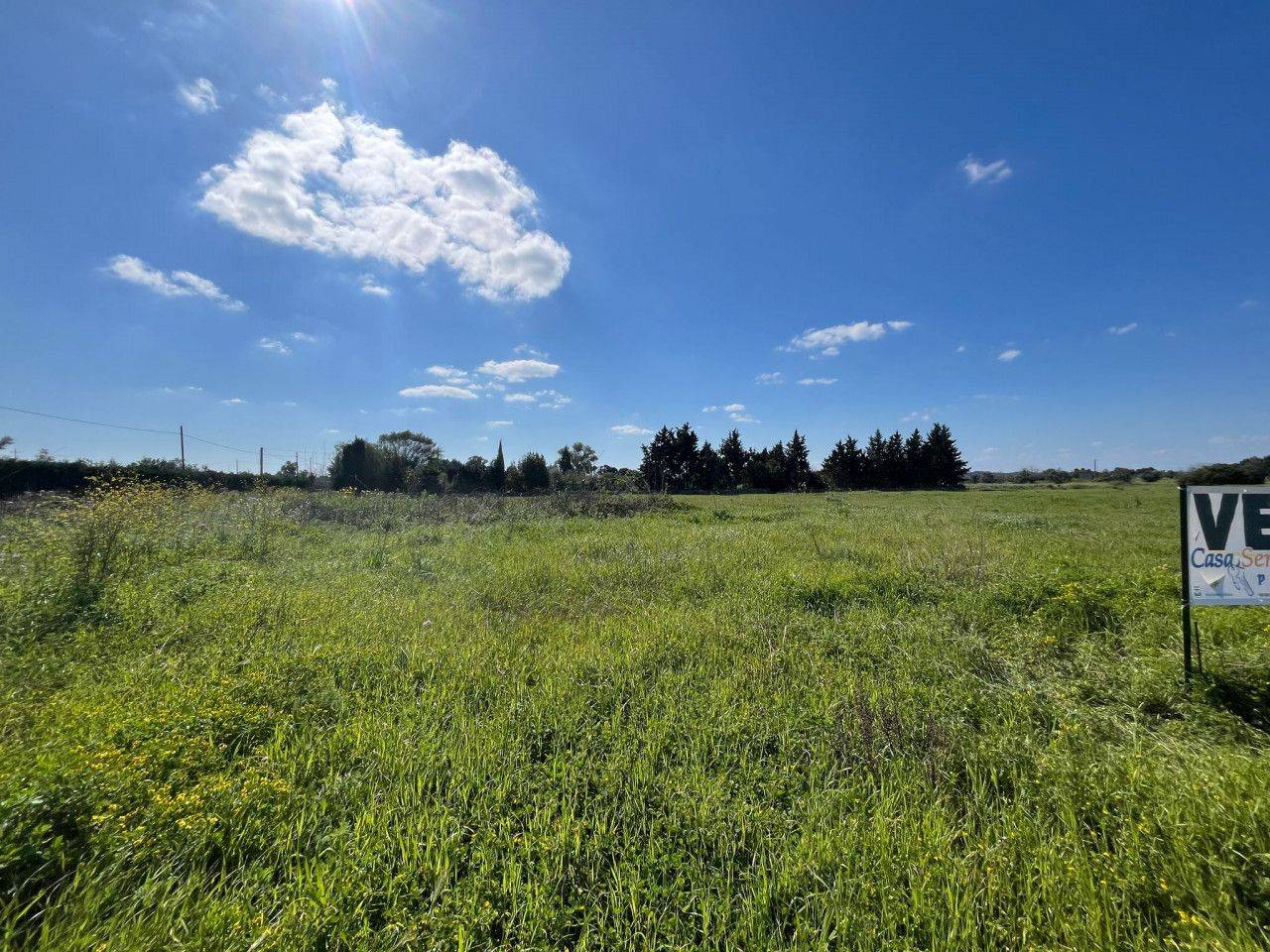 immagine annuncio 6 di 11