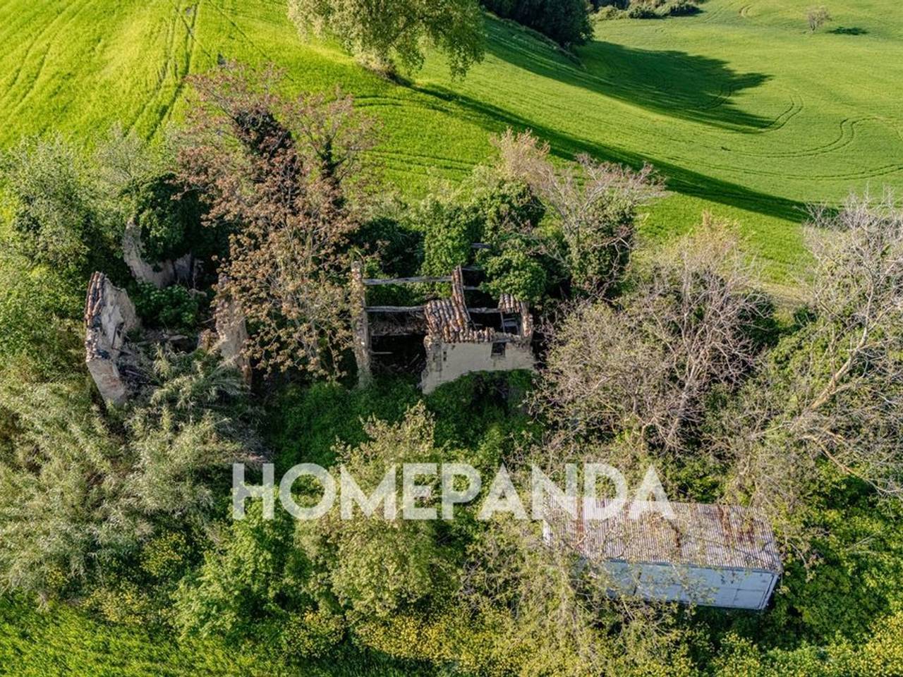 immagine annuncio 8 di 13