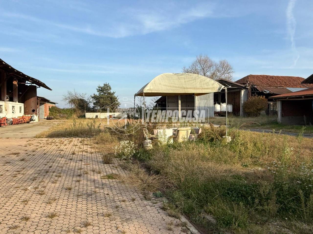 immagine annuncio 3 di 11