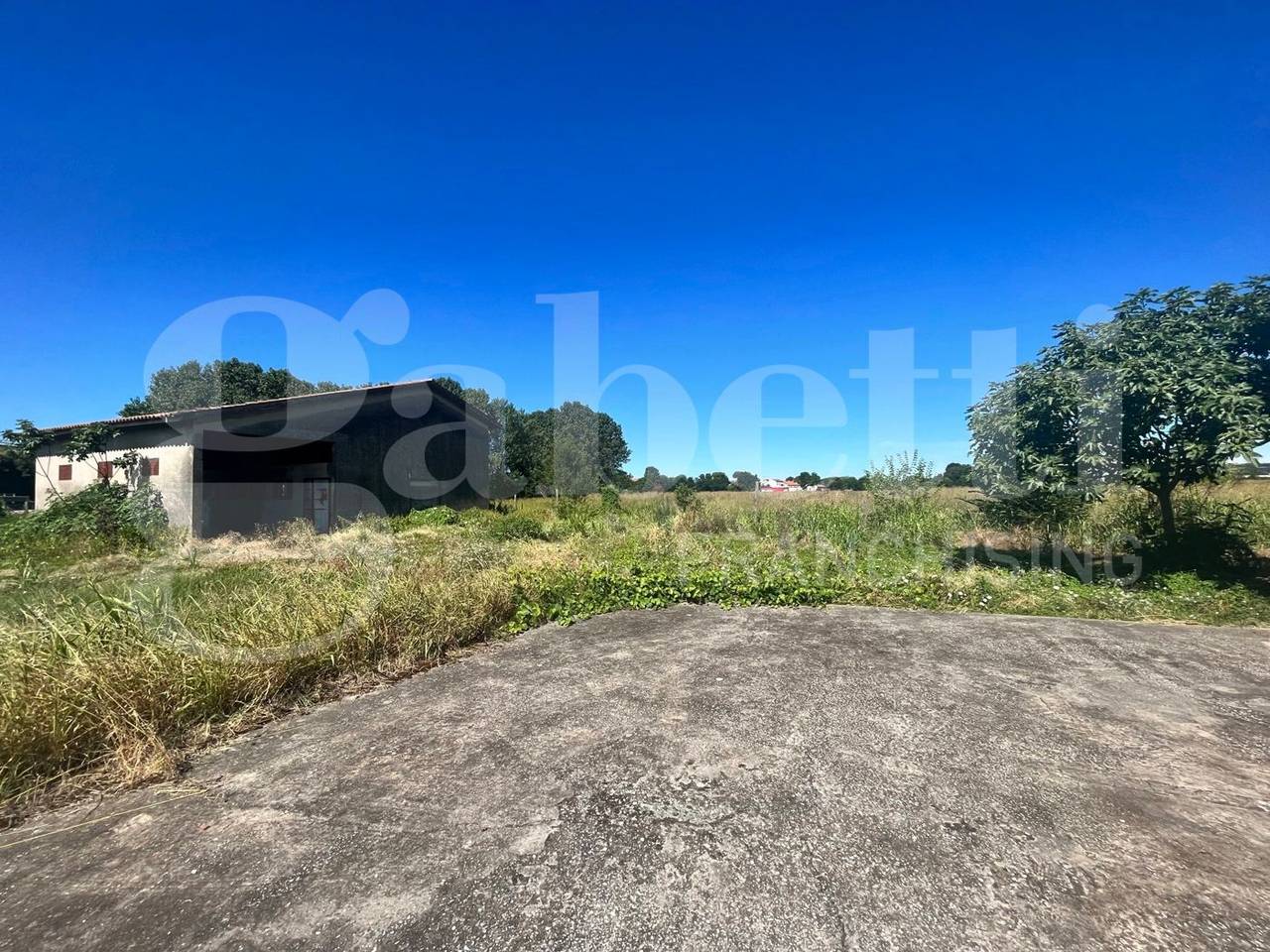 immagine annuncio 2 di 11