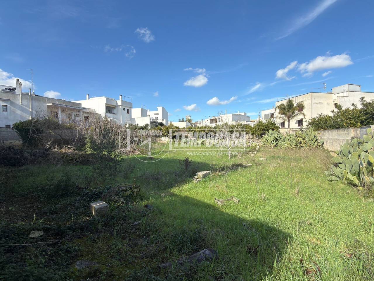 immagine annuncio 1 di 14