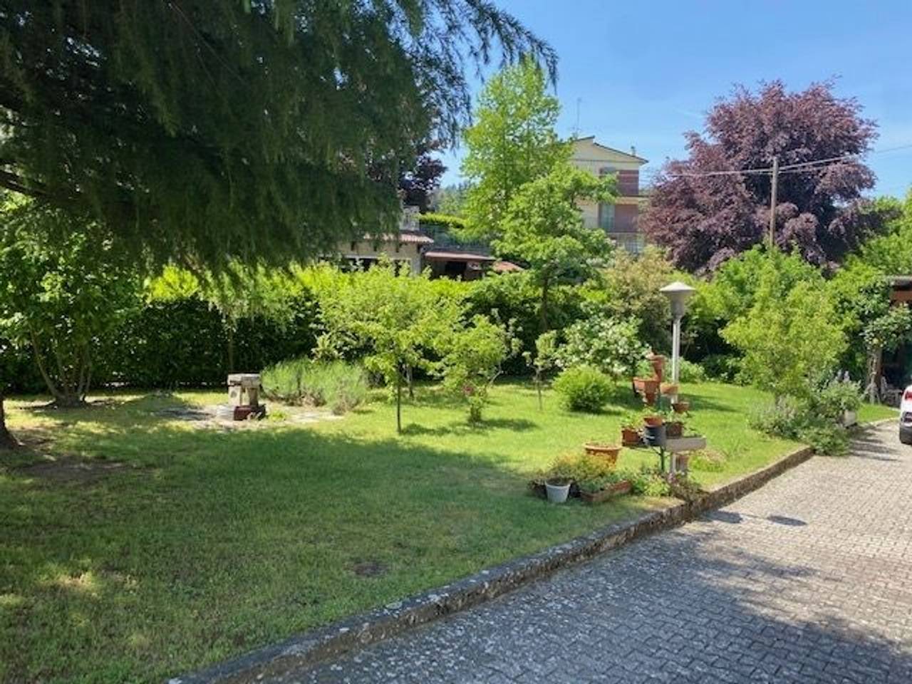 immagine annuncio 6 di 11