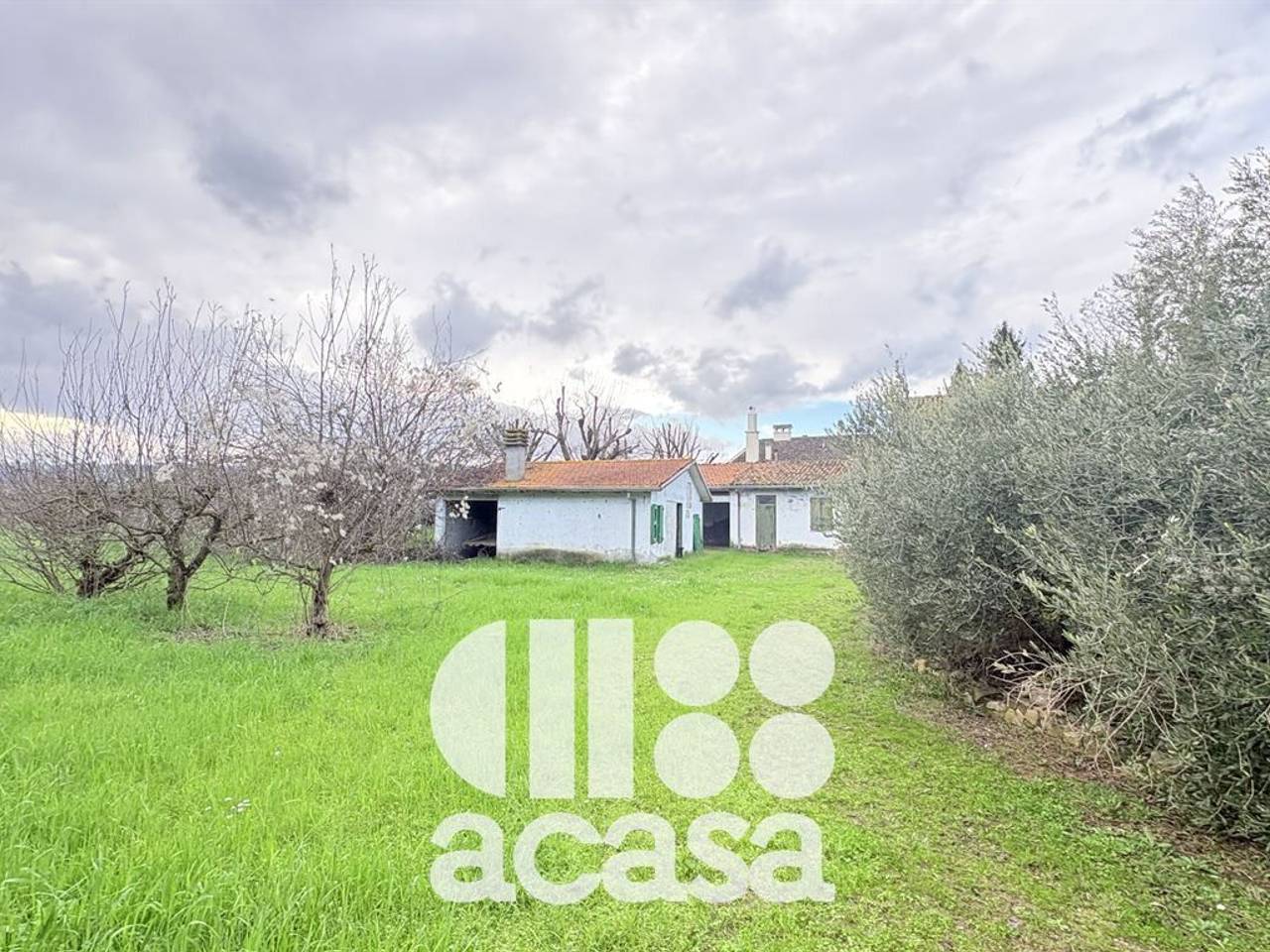 immagine annuncio 11 di 13