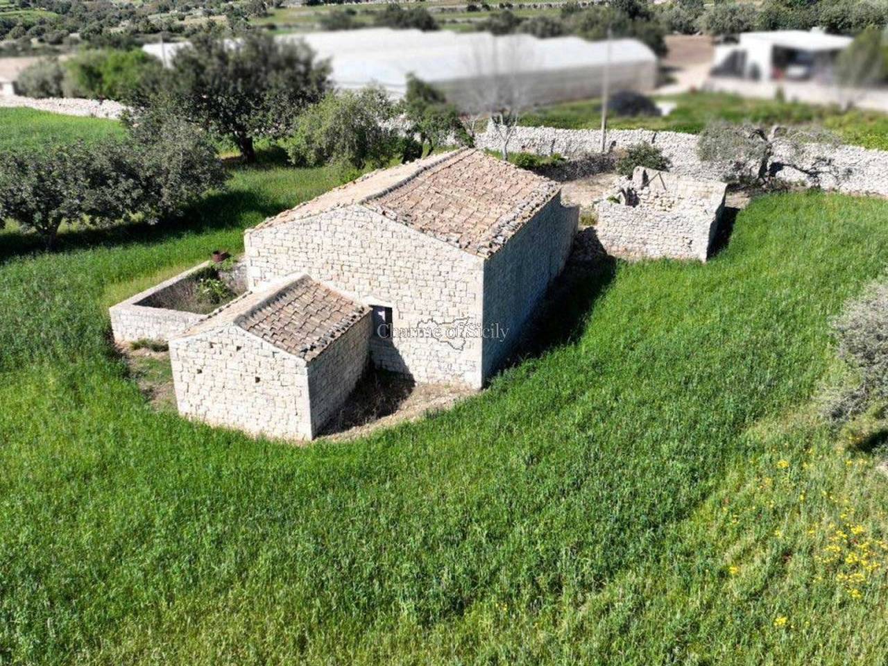 immagine annuncio 3 di 9