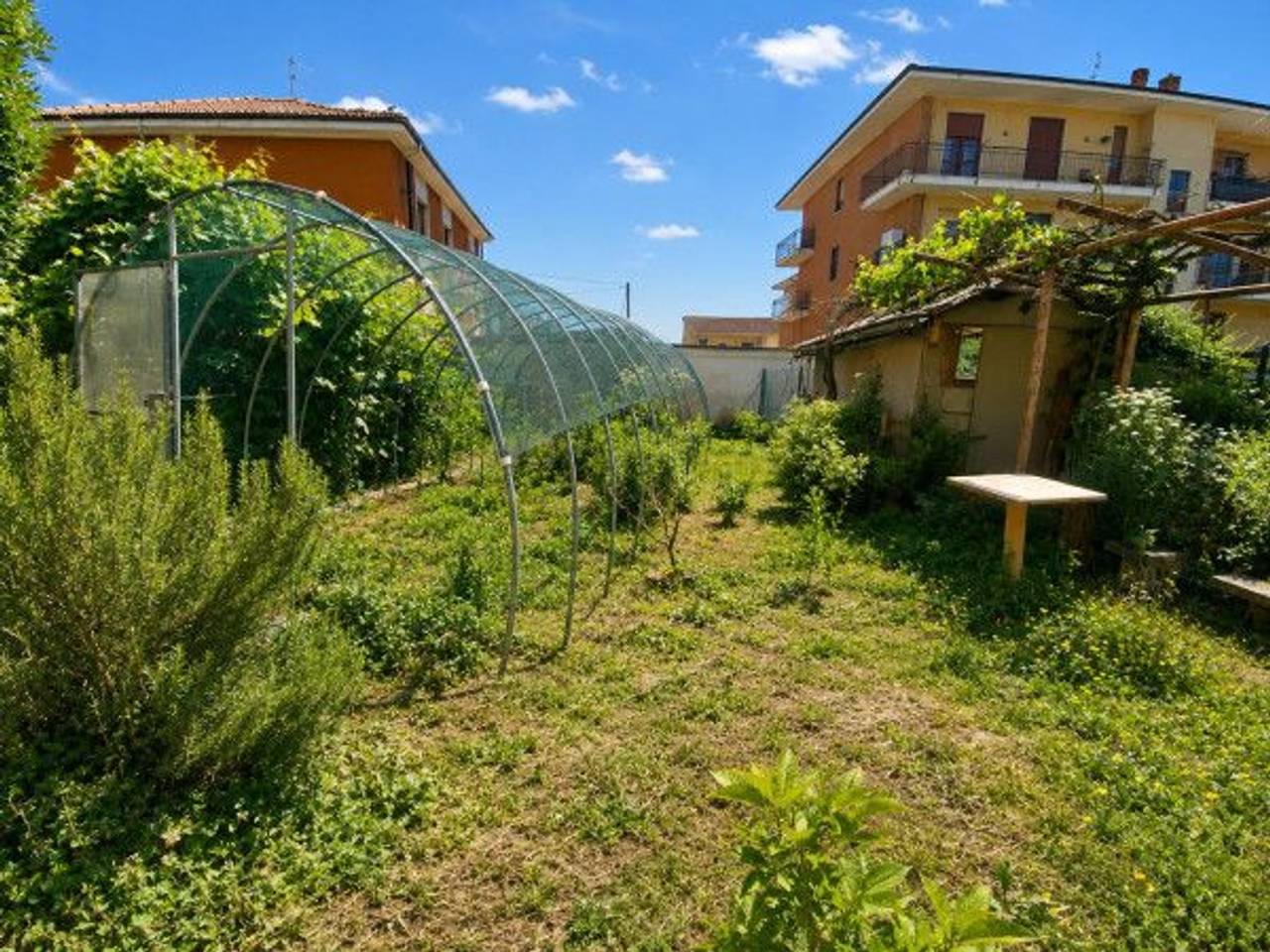 immagine annuncio 13 di 15