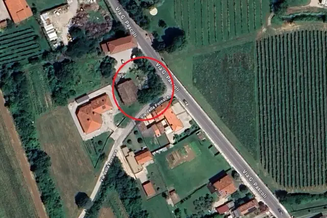 insertion image