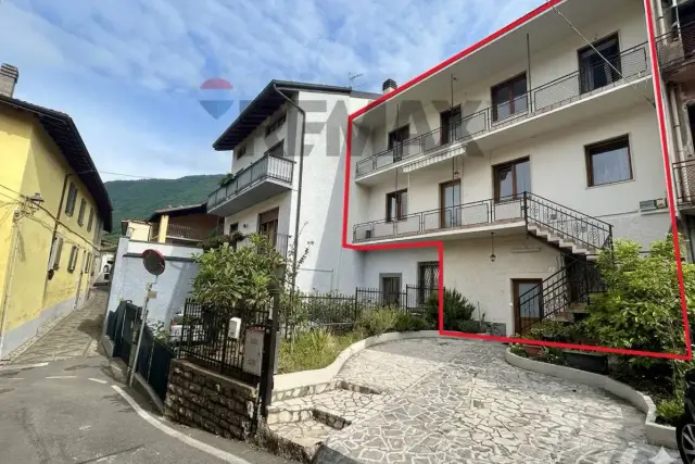 insertion image