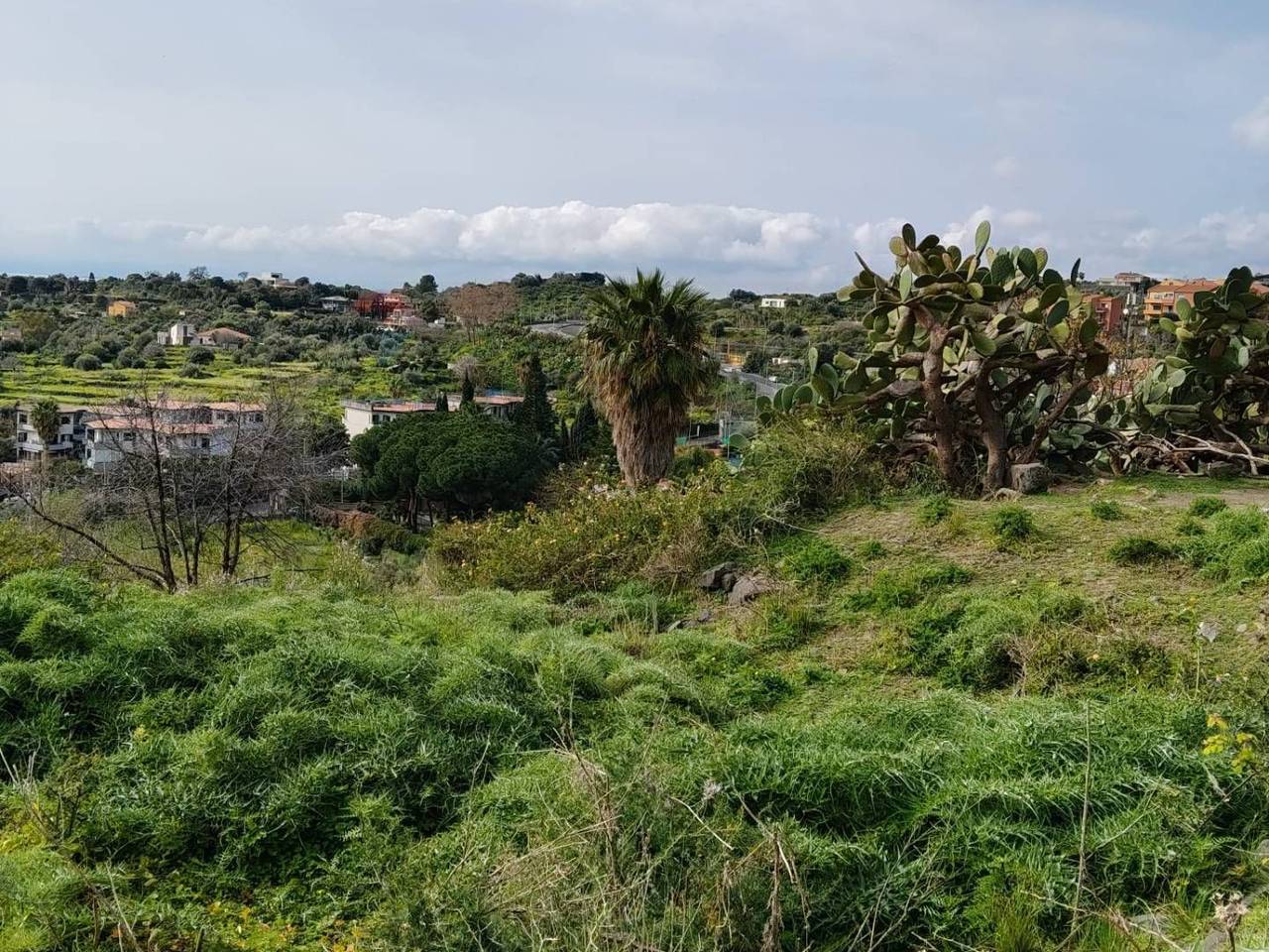 immagine annuncio 9 di 13