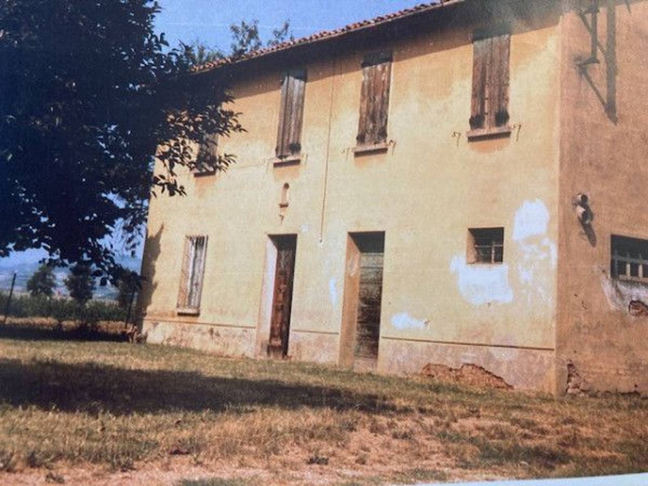 immagine annuncio 5 di 14