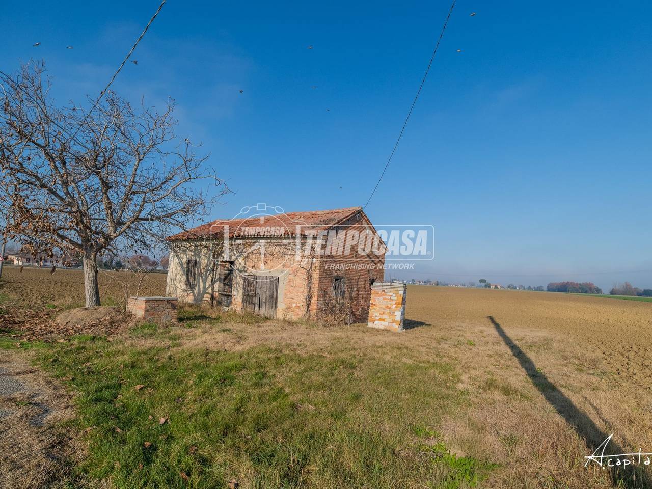 immagine annuncio 3 di 12