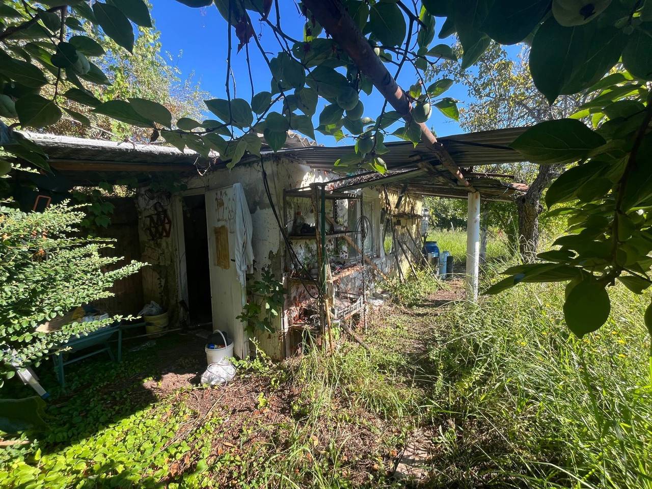 immagine annuncio 4 di 6