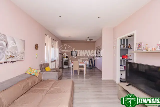 insertion image