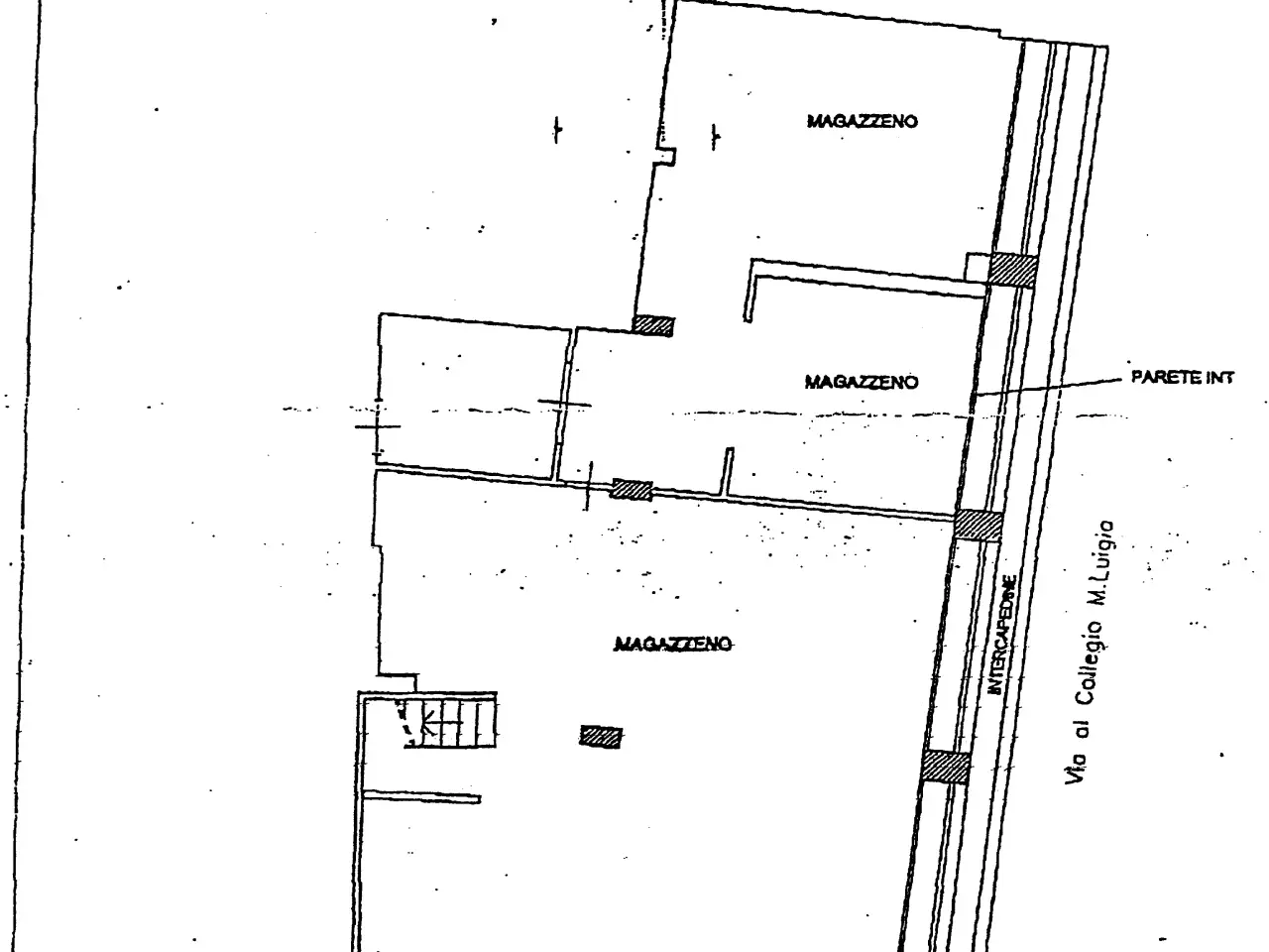 Negozio in Borgo Collegio Maria Luigia, Parma, {3} - Planimetria 1