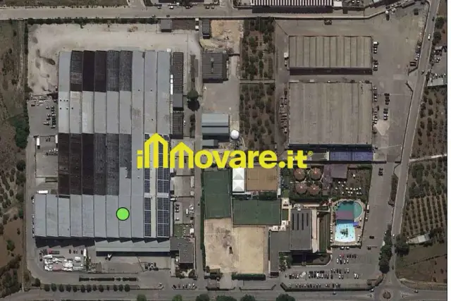 insertion image