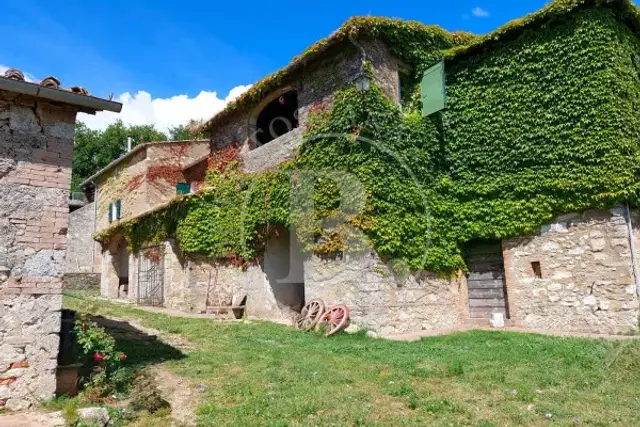 Gehöft in Strada Comunale da Celsa agli Incrociati, Sovicille - Foto 1