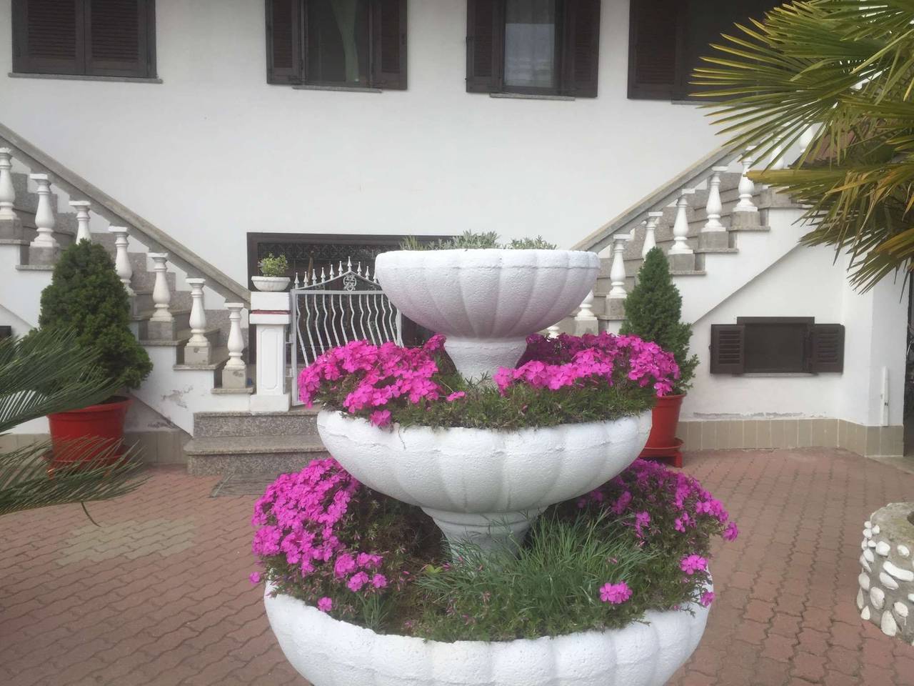 immagine annuncio 2 di 14