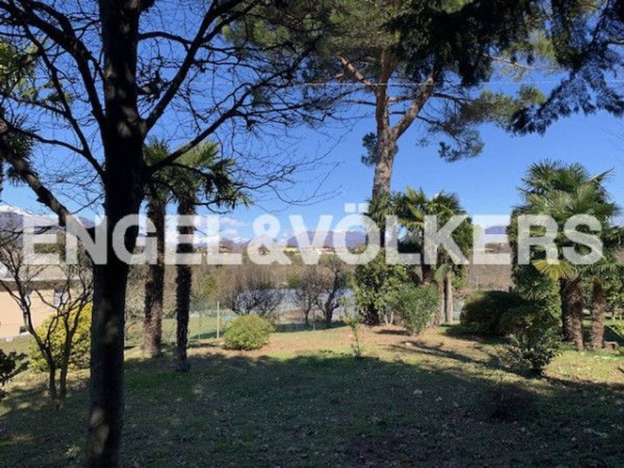 immagine annuncio 3 di 12