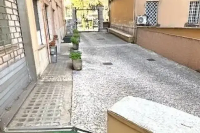 insertion image