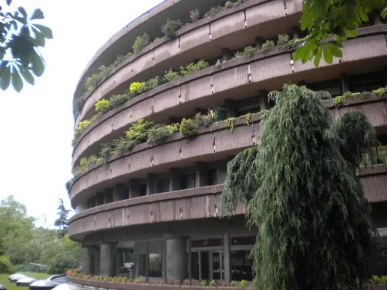 Esercizio commerciale in Novara, Piemonte, 28100, Italia, Novara, {3} - Foto 2
